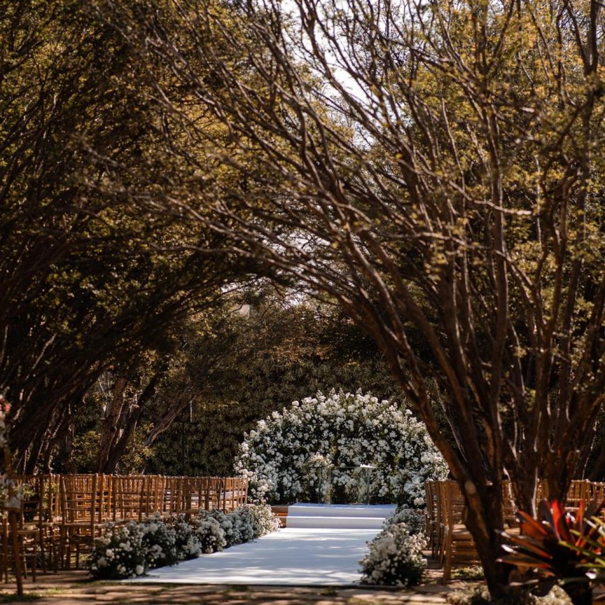 WhatsApp Image 2025-09-24 at 15.23.08 (3)